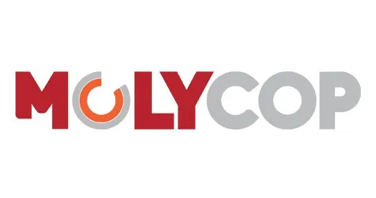 Logo cliente